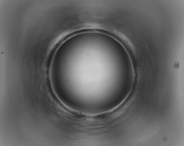X0000091461318200708161514