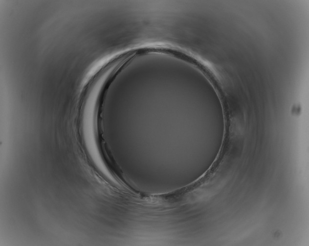 X0000091461319200708161514
