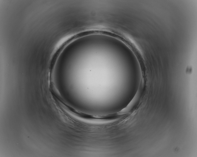 X0000091461320200708161515