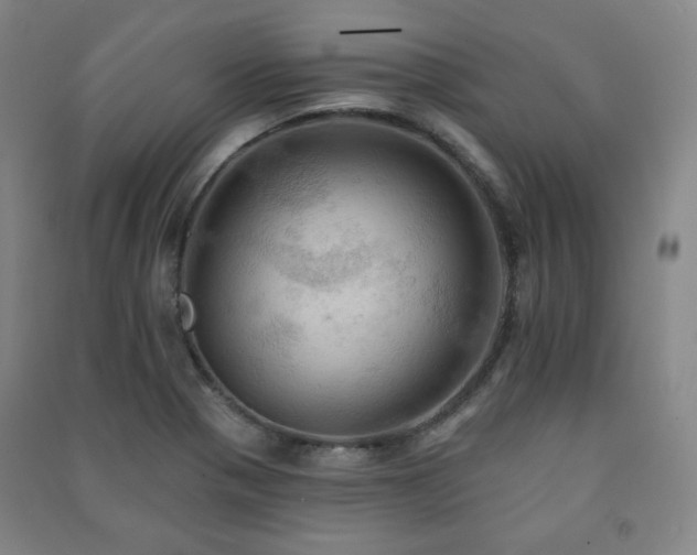 X0000091461321200708161515