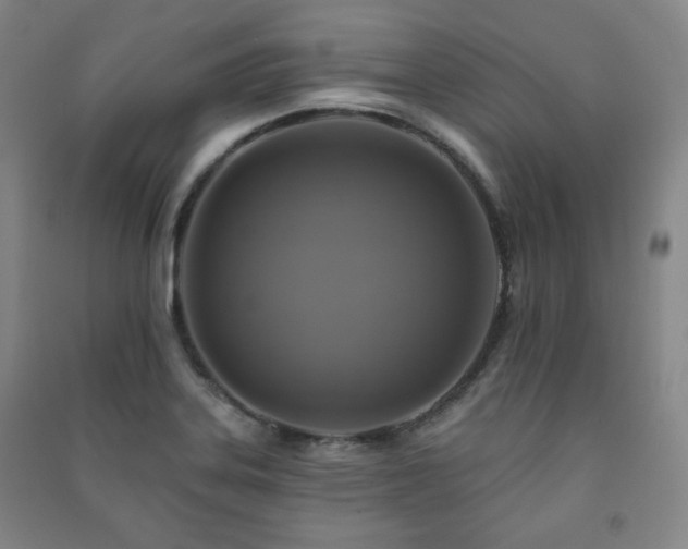 X0000091461323200708161515