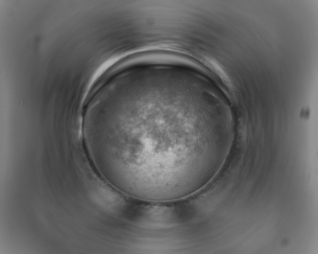 X0000091461324200708161515