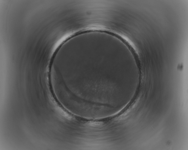 X0000091461325200708161515