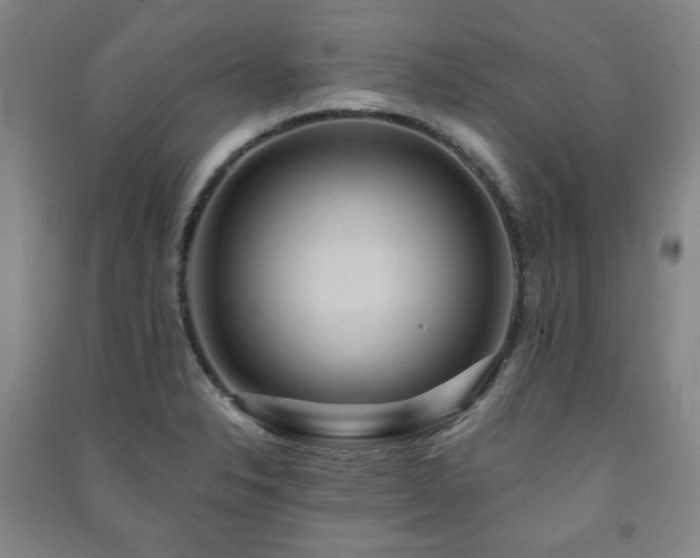 X0000091461326200708161515