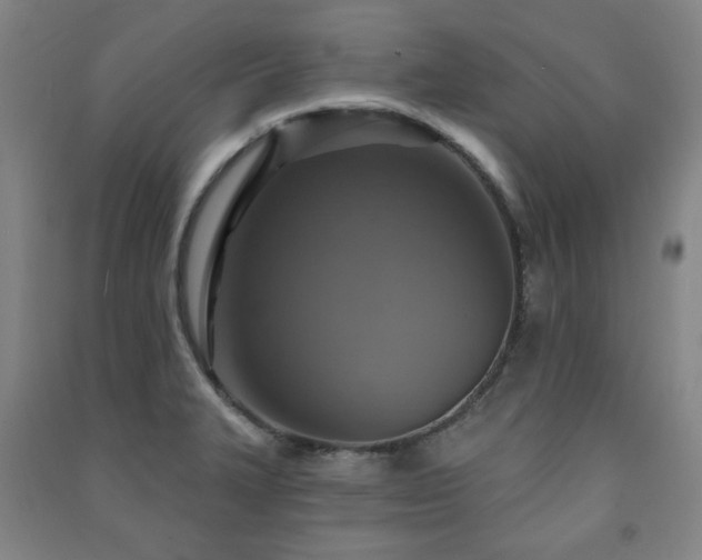 X0000091461327200708161515