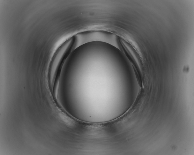 X0000091461328200708161515