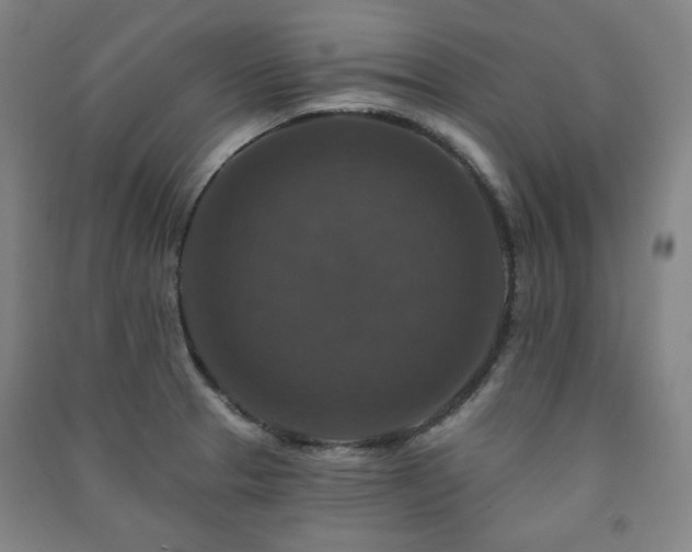X0000091461329200708161515