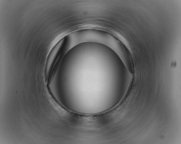 X0000091461330200708161515