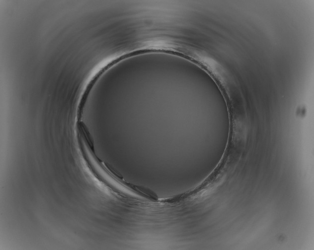 X0000091461331200708161515