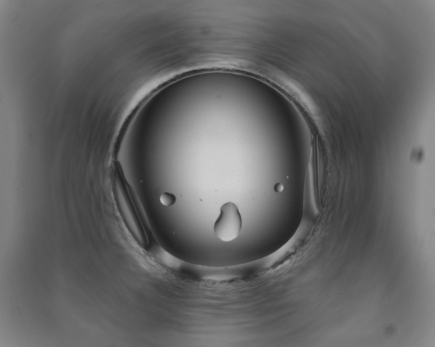 X0000091461332200708161515