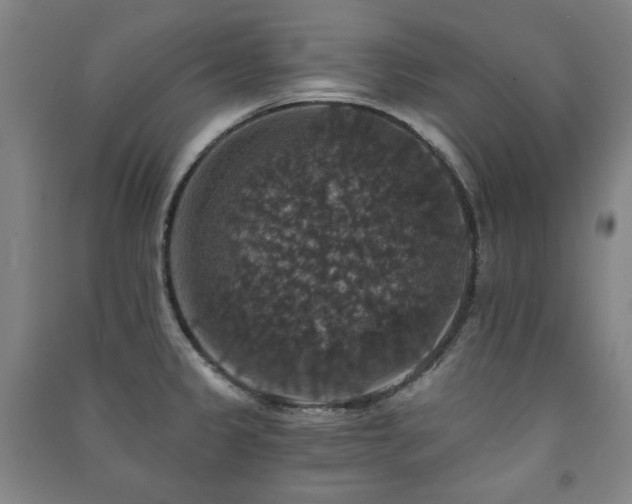 X0000091461333200708161515