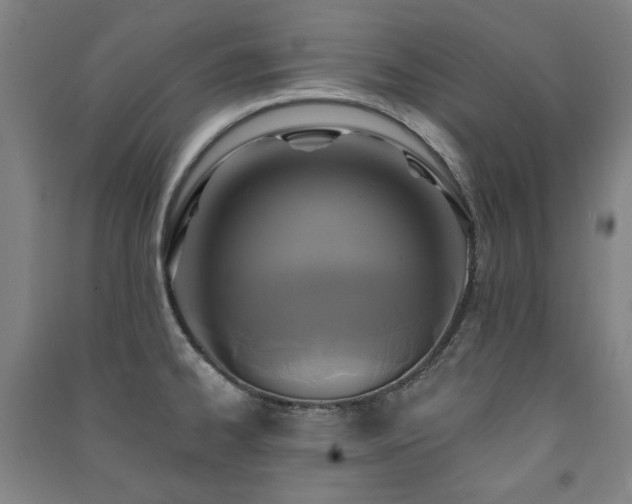 X0000091461334200708161515