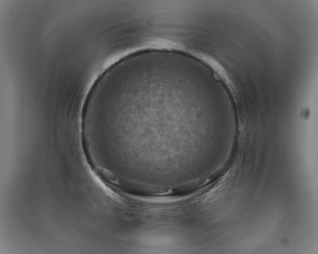 X0000091461335200708161515