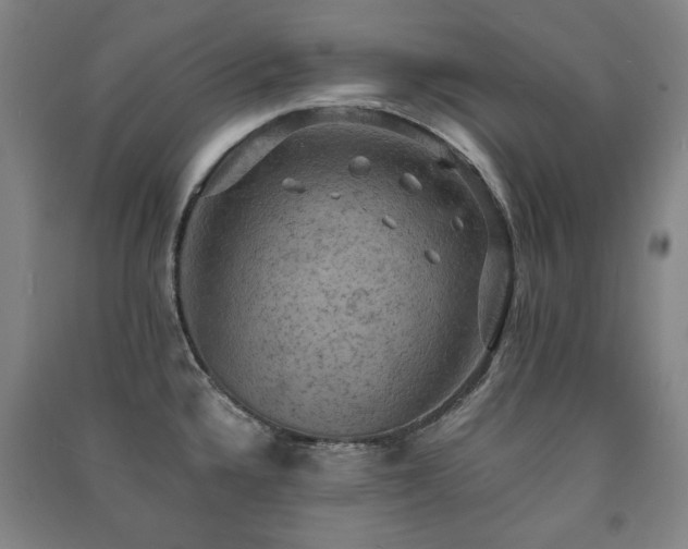 X0000091461336200708161515