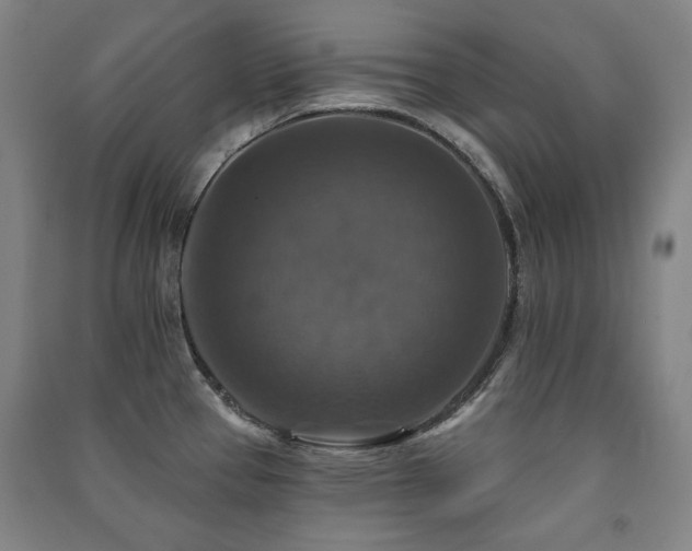 X0000091461337200708161515