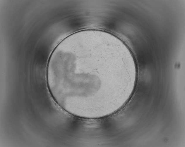 X0000091461338200708161515