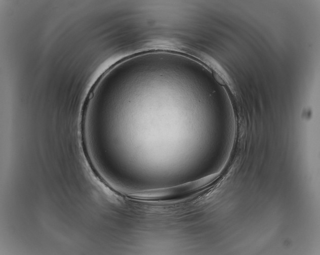 X0000091461339200708161515