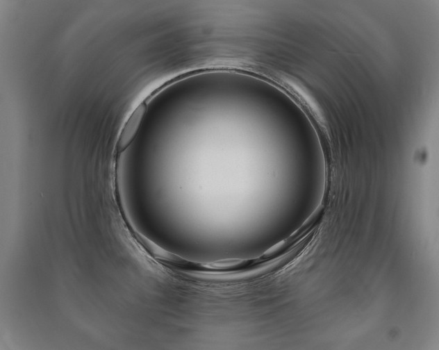 X0000091461340200708161515