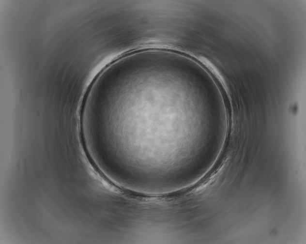 X0000091461341200708161515