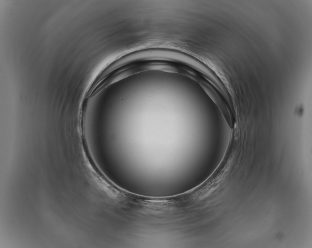 X0000091461342200708161515
