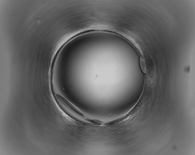 X0000091461343200708161515