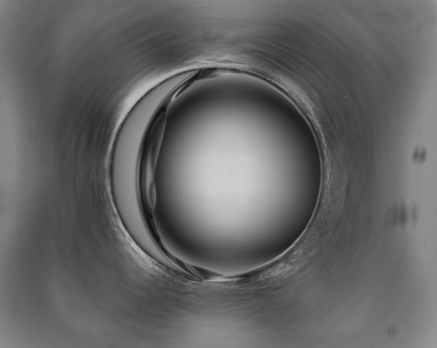 X0000091461344200708161515