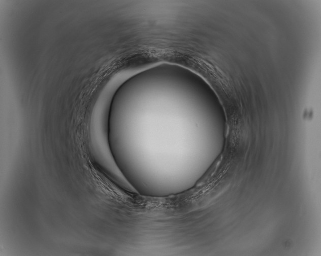 X0000091461345200708161514