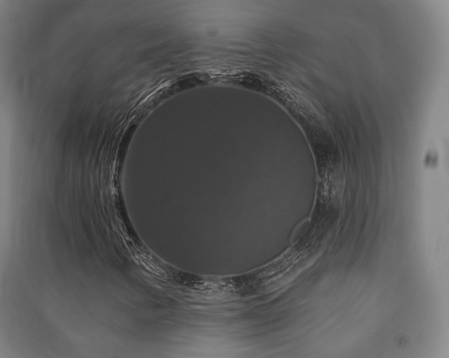 X0000091461346200708161514