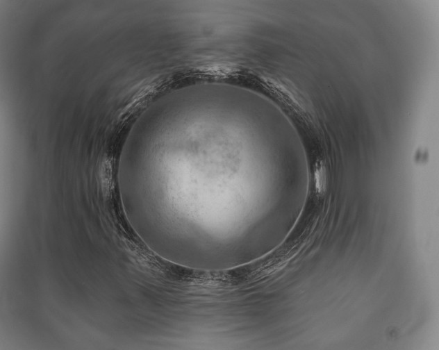 X0000091461347200708161514