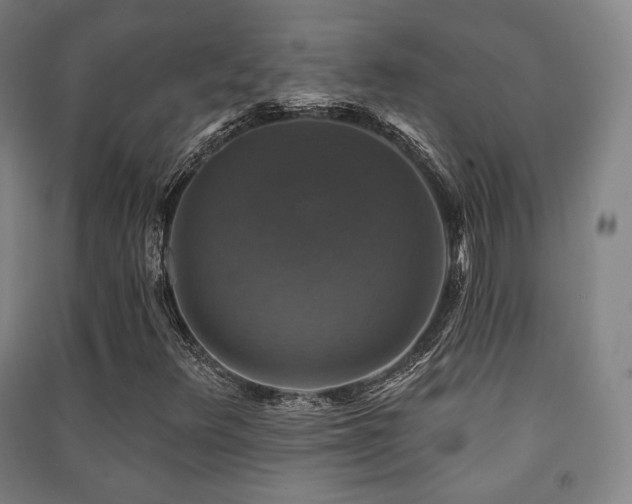 X0000091461348200708161514