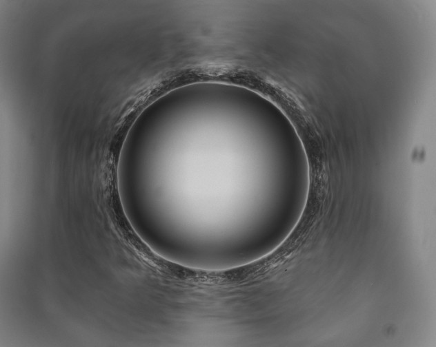 X0000091461349200708161514