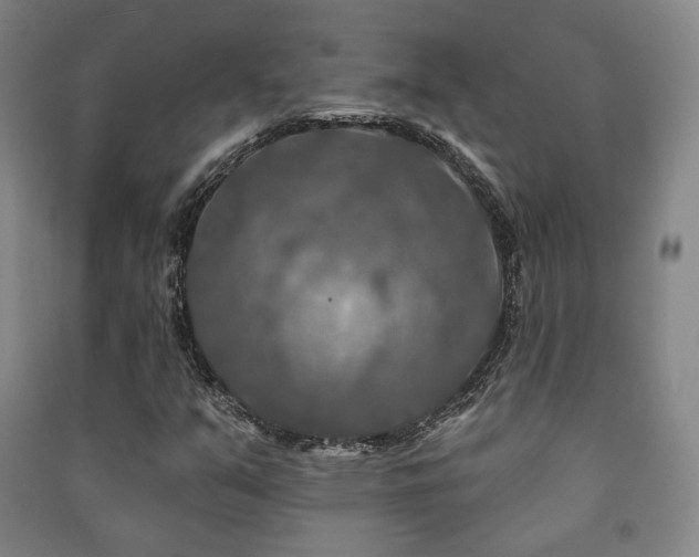 X0000091461351200708161514