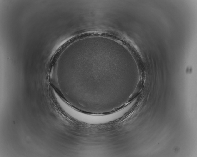 X0000091461352200708161514