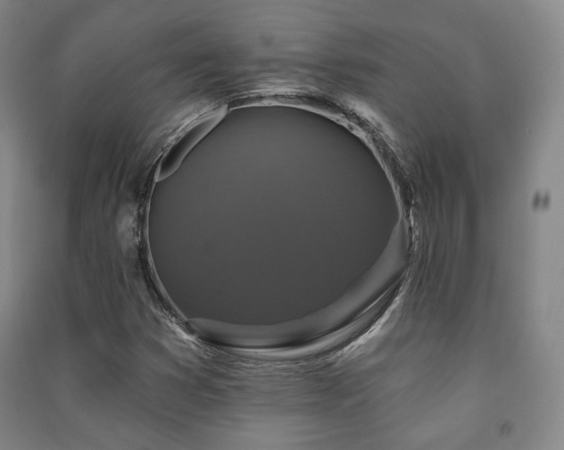 X0000091461353200708161514