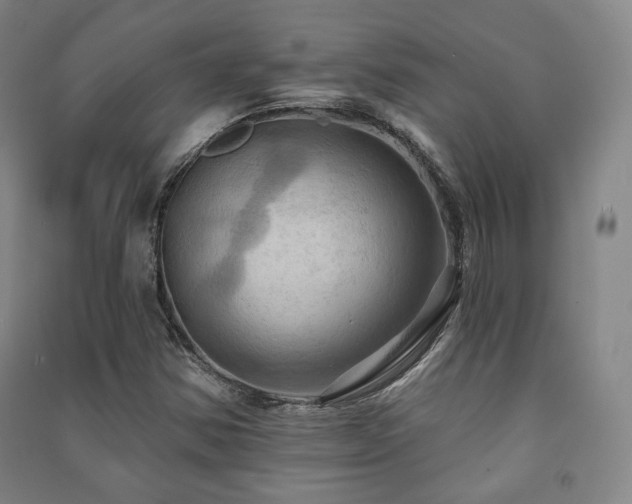 X0000091461354200708161514
