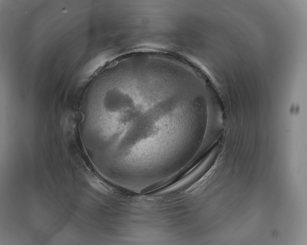X0000091461355200708161514