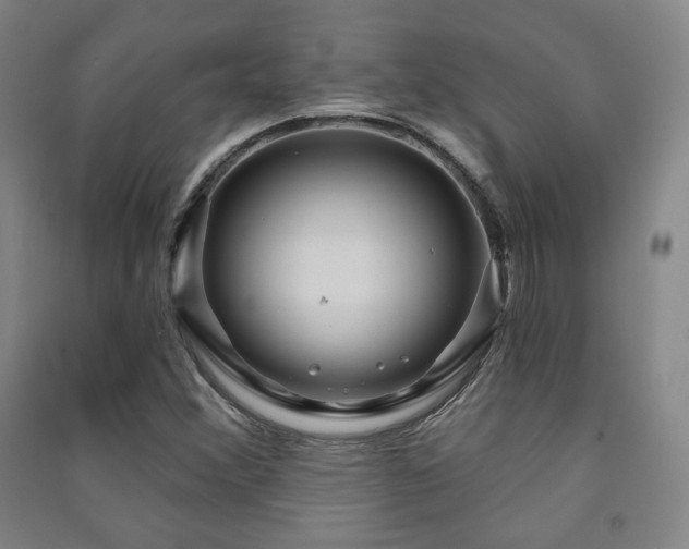 X0000091461356200708161514