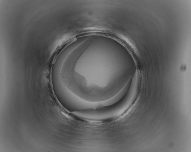 X0000091461357200708161514