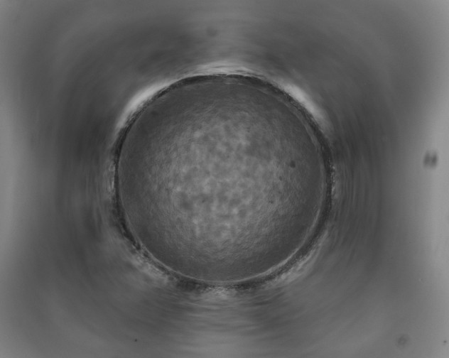 X0000091461358200708161514