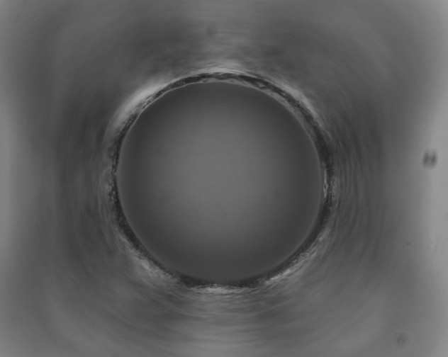 X0000091461359200708161514