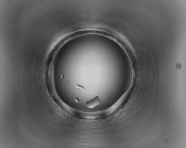 X0000091461360200708161514