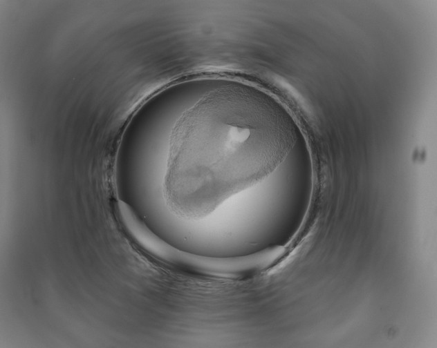 X0000091461361200708161514