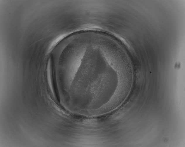 X0000091461363200708161514