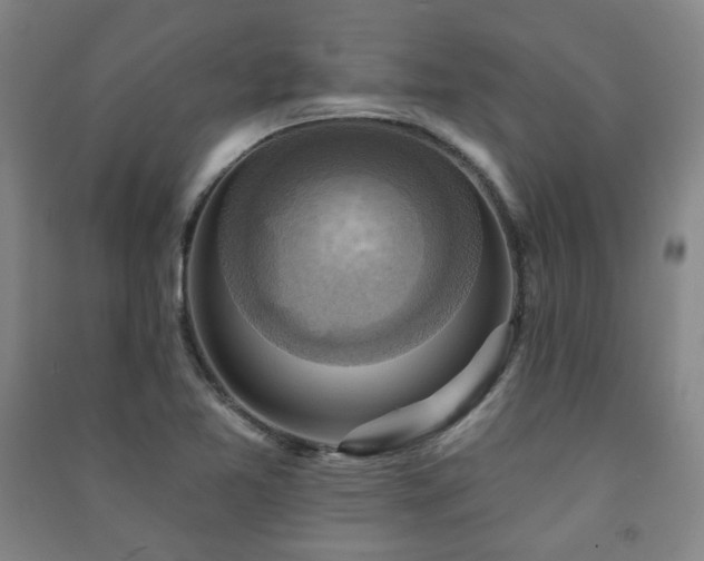 X0000091461365200708161514