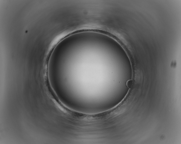 X0000091461366200708161514