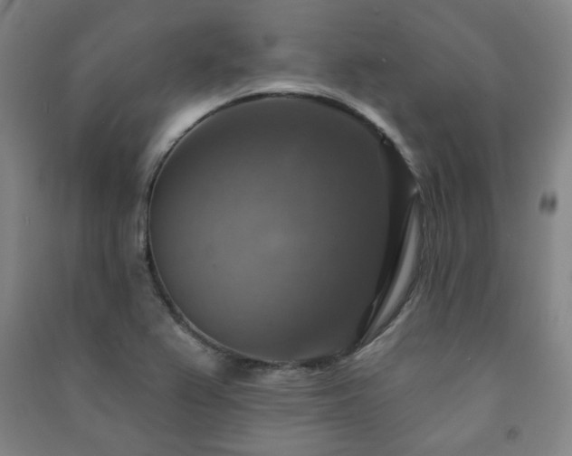 X0000091461367200708161514