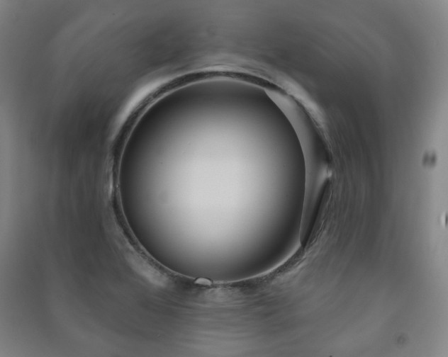 X0000091461368200708161514