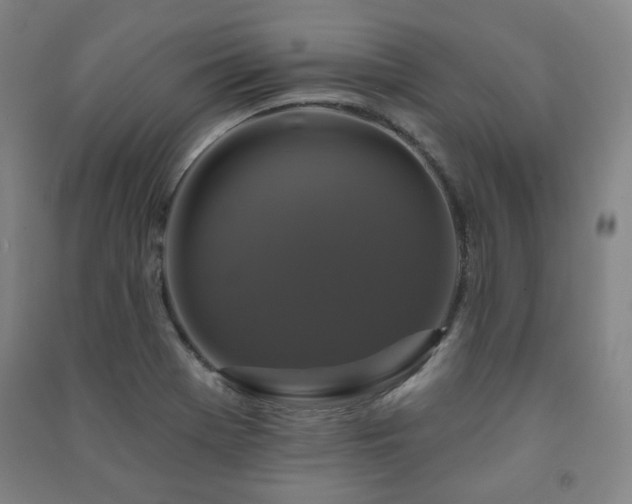 X0000091461369200708161514
