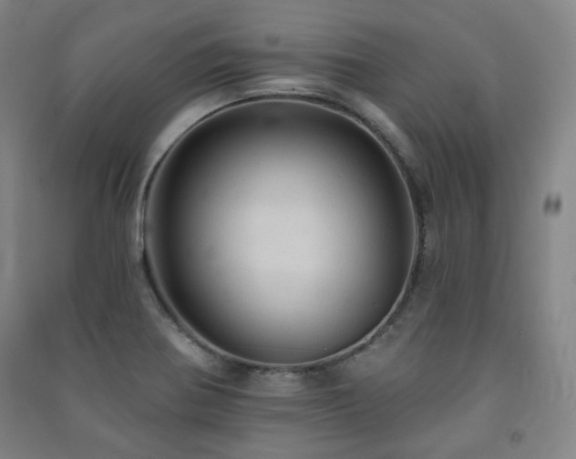 X0000091461370200708161514