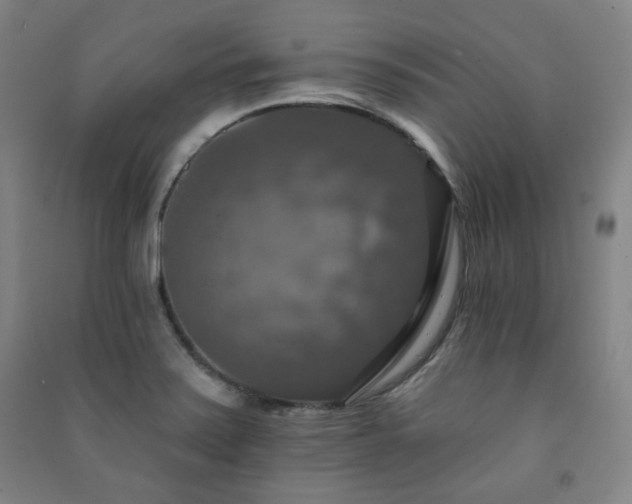 X0000091461371200708161514